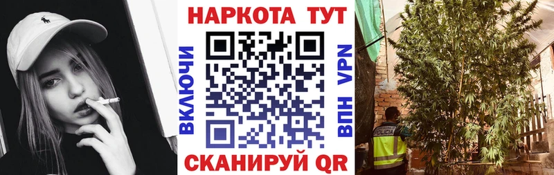 Цена Лермонтов МАРИХУАНА  Меф  Cocaine  ГАШИШ 