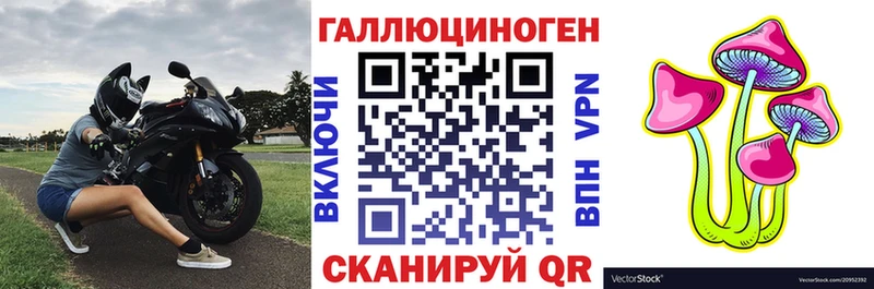 кракен   Лермонтов  Галлюциногенные грибы MAGIC MUSHROOMS 